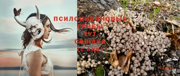 спайс Алзамай
