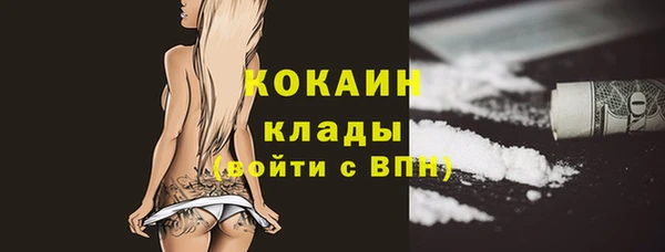 спайс Алзамай